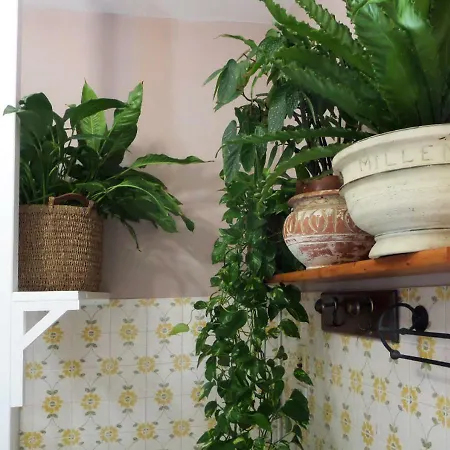 La Finestra Sul Fiume Fossombrone